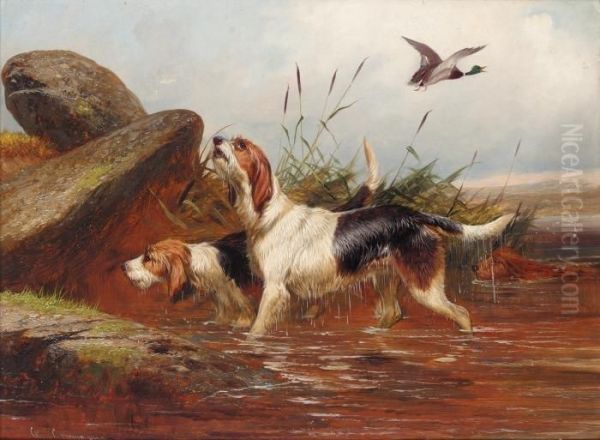 Pair Of Otter Hounds (#) A Pair Of Setters Oil Painting by Colin Graeme Roe