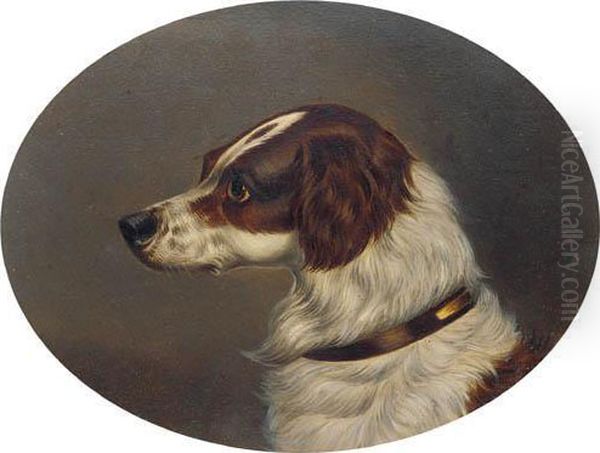 The Head Of A Gundog Oil Painting by Colin Graeme Roe