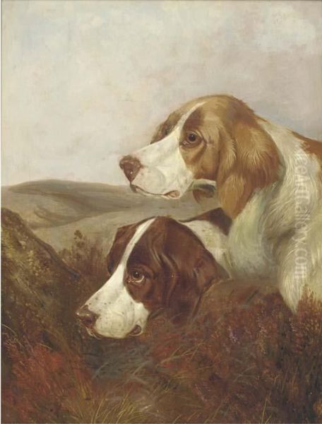 A Brace Of Pointers Oil Painting by Colin Graeme Roe