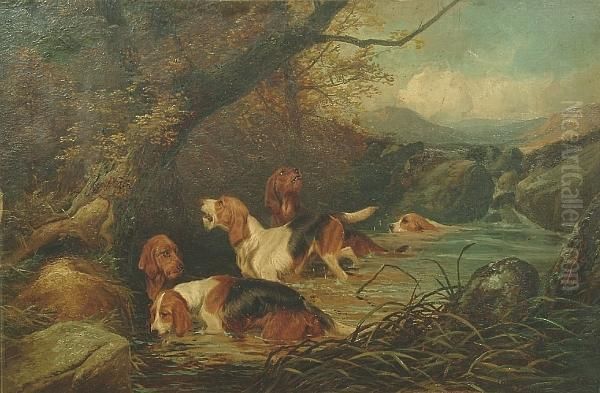 Otterhounds On The Scent Oil Painting by Colin Graeme Roe