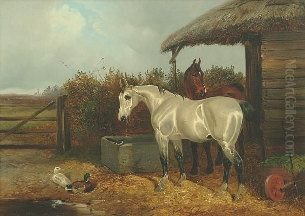 A Bay And Grey Horse In A Stable Yard With Ducks Oil Painting by Colin Graeme Roe