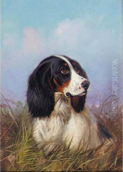 A Black And White Setter; A Brown And White Setter Oil Painting by Colin Graeme Roe