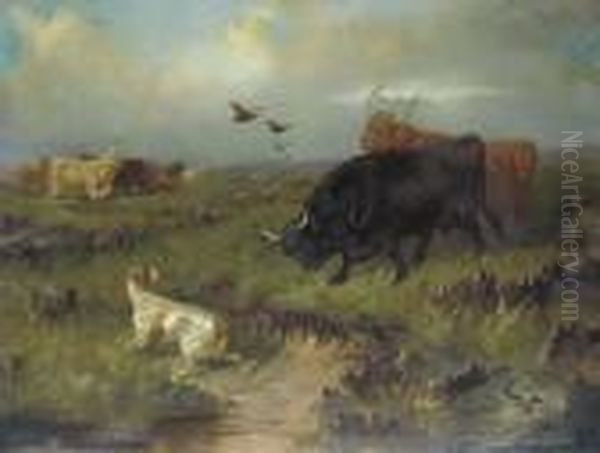 Highland Cattle, With A Setter And Grouse On The Moor Oil Painting by Colin Graeme Roe