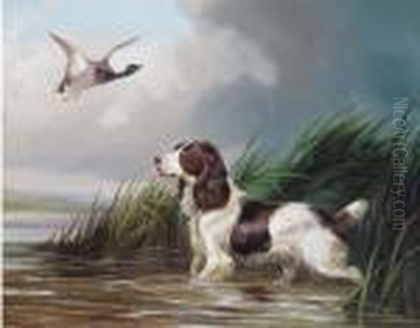 A Spaniel Putting A Mallard Up Oil Painting by Colin Graeme Roe