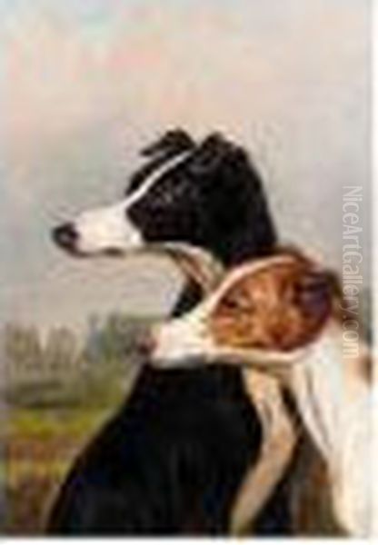 Head Studies Of Dogs Oil Painting by Colin Graeme Roe