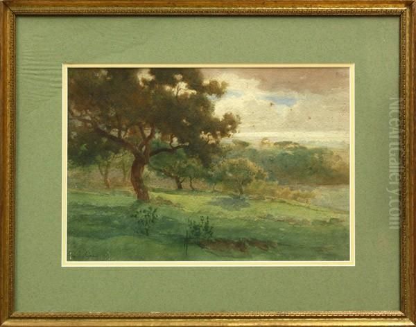 California Oak by Percy Gray