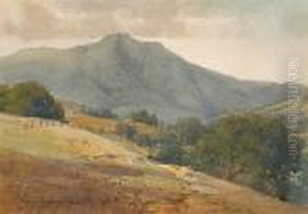 View Of Mount Tamalpais Oil Painting by Percy Gray