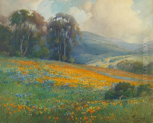 California Wildflowers And Rolling Hills Oil Painting by Percy Gray