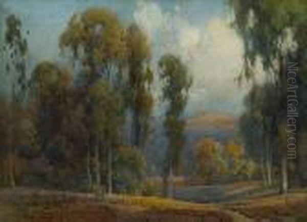 Sunlit Path Through A Eucalyptus Grove Oil Painting by Percy Gray