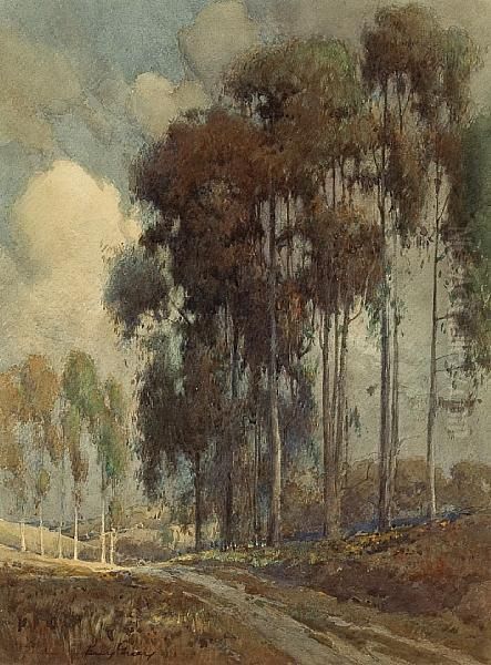 Road Along A Line Of Eucalyptus Trees Oil Painting by Percy Gray