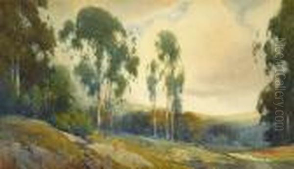 Eucalyptus In Burlingame, California Oil Painting by Percy Gray