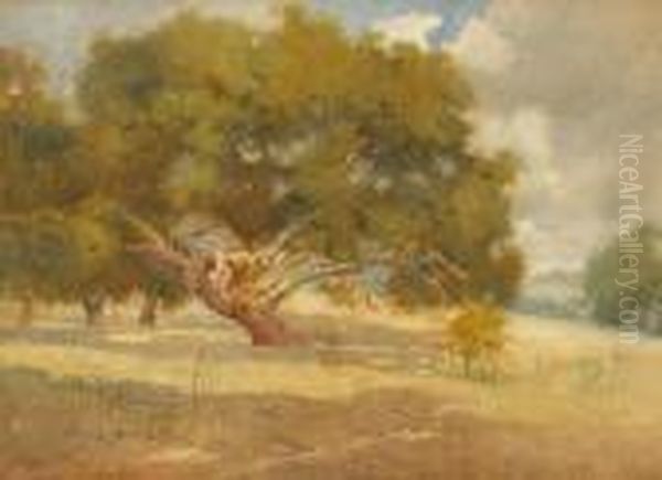 Majestic Oaks by Percy Gray