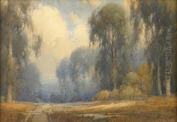 Road Through A Eucalyptus Grove by Percy Gray