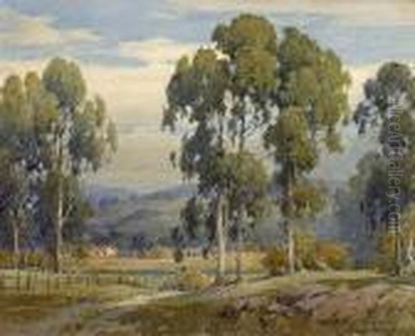 Eucalyptus With A Farmhouse In The Distance Oil Painting by Percy Gray