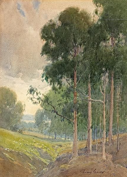 Eucalyptus By A Shallow Ravine by Percy Gray