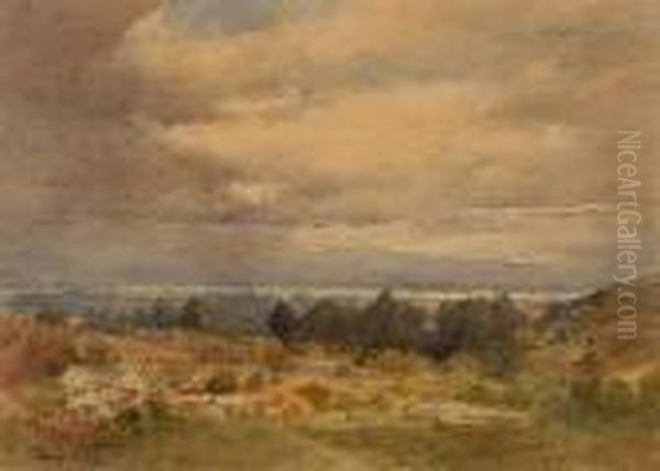 Marin Landscape With A Village In The Foreground by Percy Gray