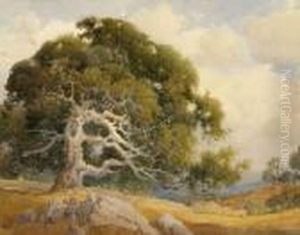 Landscape With Oak Oil Painting by Percy Gray