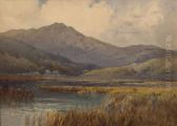 Mt. Tamalpais Oil Painting by Percy Gray