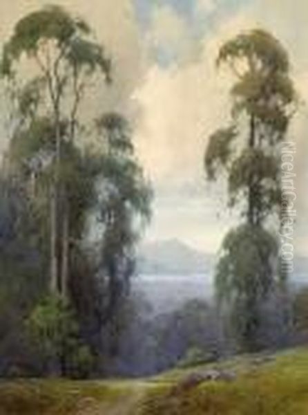 Mount Tamalpais From Clairmont Oil Painting by Percy Gray