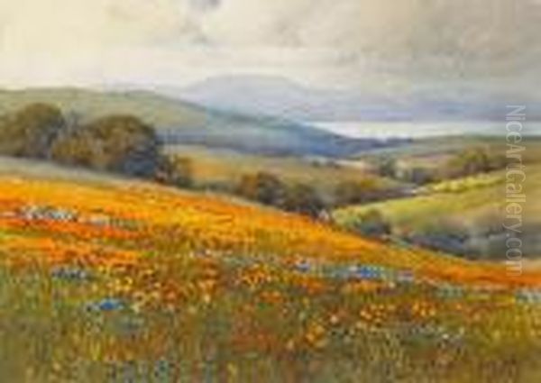 Rolling Hills Of Poppies And Lupine With Thebay Beyond Oil Painting by Percy Gray