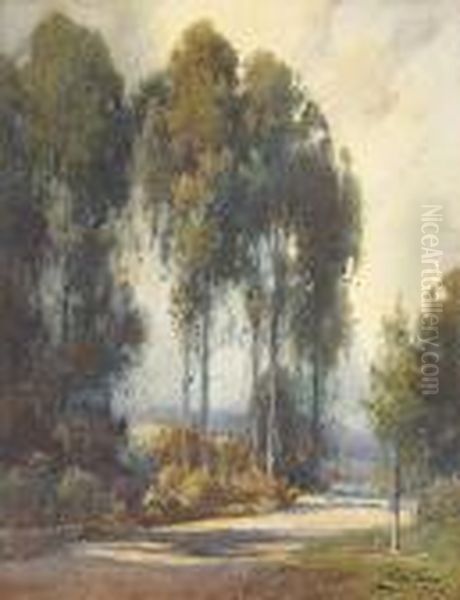 Shadowed Path Through The Eucalyptus Trees Oil Painting by Percy Gray