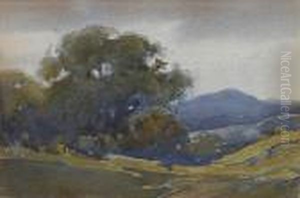 Old Oaks With Mount Tamalpais In The Distance Oil Painting by Percy Gray