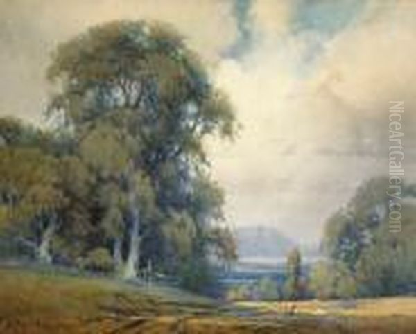 Old Oaks And Mt. Tamalpais Oil Painting by Percy Gray