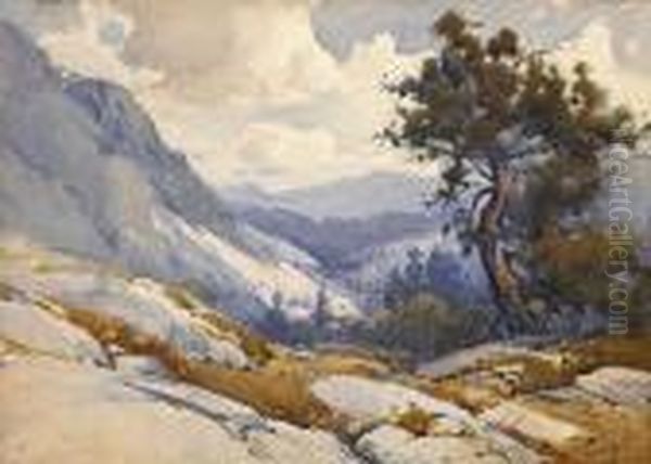 An Isolated Tree In The High Sierras Oil Painting by Percy Gray