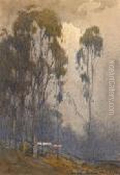 Eucalyptus Grove With A Farmhouse In The Distance Oil Painting by Percy Gray