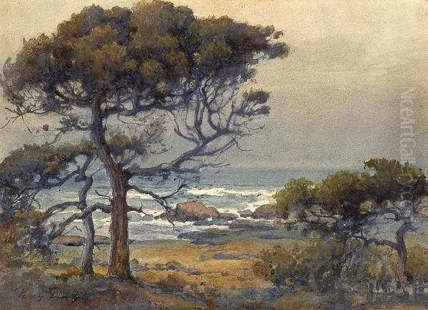 Pines And Sea Oil Painting by Percy Gray