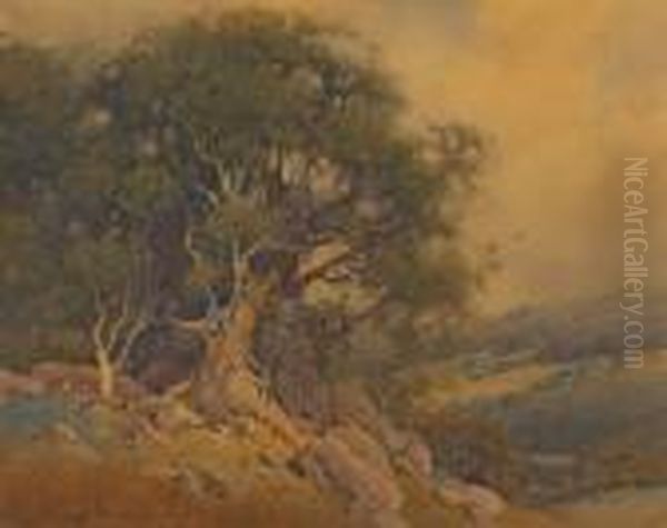 Hillside Oak Oil Painting by Percy Gray