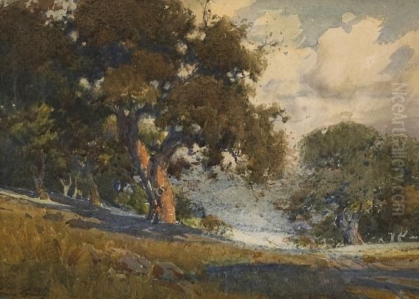 Sun-dappled Oak Oil Painting by Percy Gray