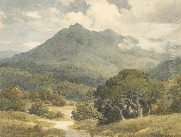 A View Of Mt. Tamalpais Oil Painting by Percy Gray