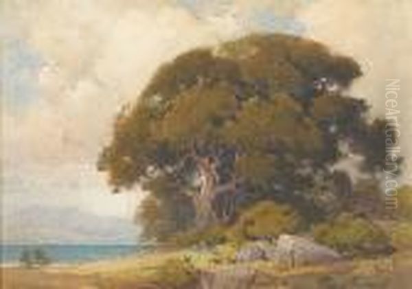 Old Oak Near The Bay Oil Painting by Percy Gray