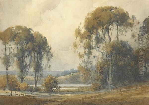 Eucalyptus And Clouds With Distant Hills Oil Painting by Percy Gray