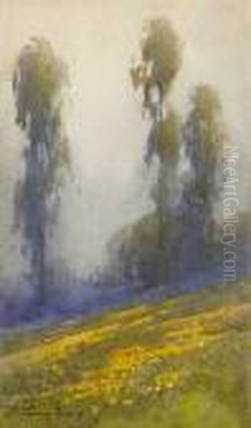 Poppies And Eucalyptus Trees Oil Painting by Percy Gray