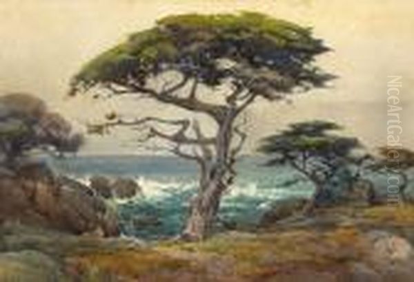 Seaside Cypress, Monterey Oil Painting by Percy Gray