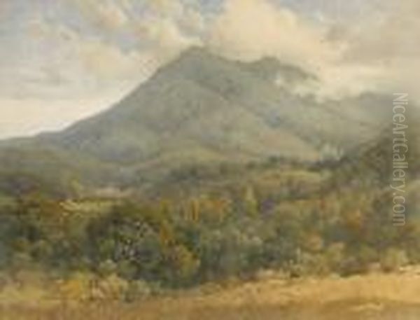 Clouds Above Mt. Tamalpais Oil Painting by Percy Gray