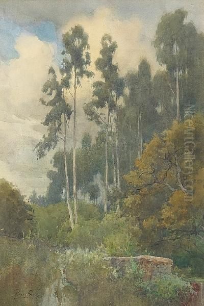 A Grove Of Eucalyptus Oil Painting by Percy Gray