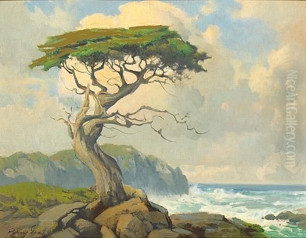 Cypress Along The Monterey Coast Oil Painting by Percy Gray