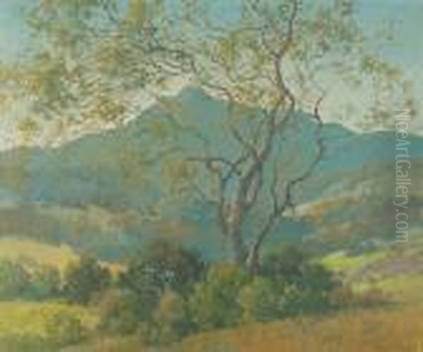 A View Of Mt. Tamalpais, Marin County, California Oil Painting by Percy Gray