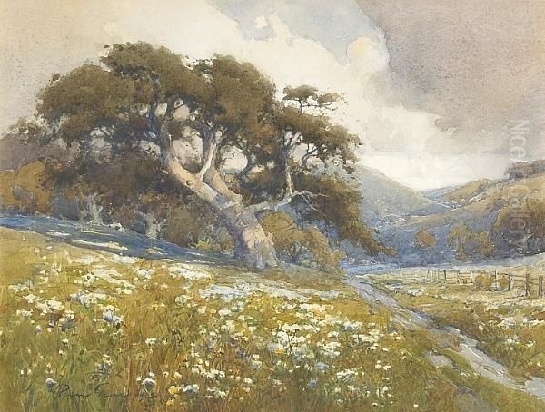 Wildflowers Beneath The Oaks, 1915 Oil Painting by Percy Gray