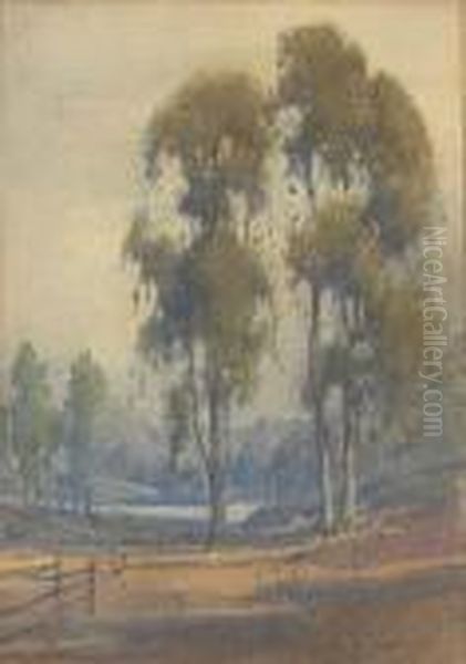 A Stand Of Eucalyptus With An Old Fence In The Foreground Oil Painting by Percy Gray