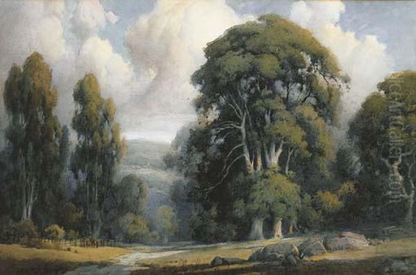 Eucalyptus Grove, Morning Oil Painting by Percy Gray