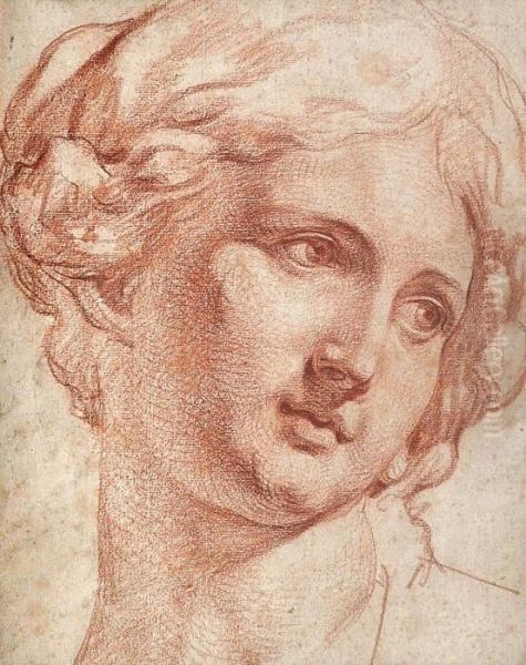 Tete Dejeune Femme D'apres Une Sculpture Oil Painting by Jean Baptiste Greuze