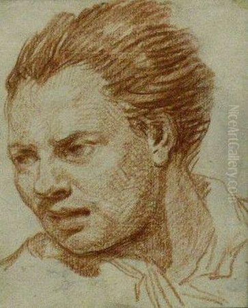 Head Of A Man Oil Painting by Jean Baptiste Greuze