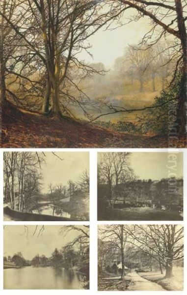 Study Of Beeches, Evening Effect Oil Painting by John Atkinson Grimshaw