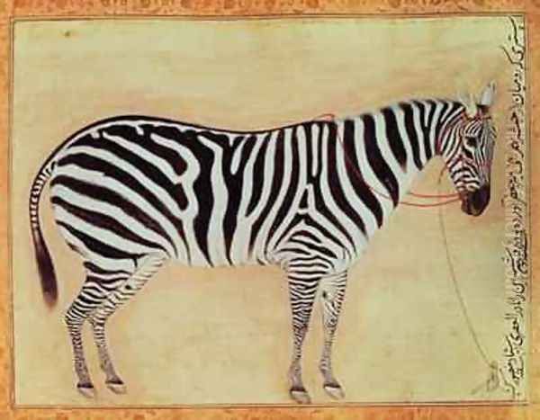 Zebra from the Minto Album Mughal 1621 by (Ustad Mansur) Mansur