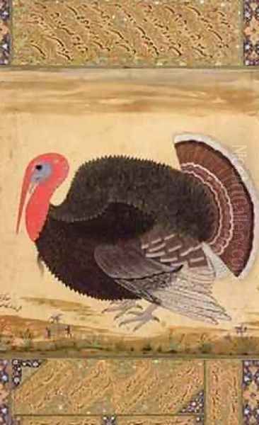 A turkey-cock brought to Jahangir from Goa in 1612 Oil Painting by (Ustad Mansur) Mansur