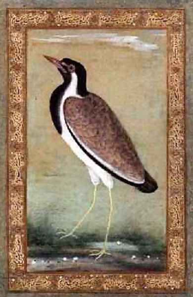 Indian lapwing 1800 Oil Painting by (Ustad Mansur) Mansur